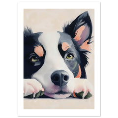 Border Collie Dog Relaxing Pastel Colored