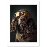 American Water Dog Wearing Pilot Sunglasses