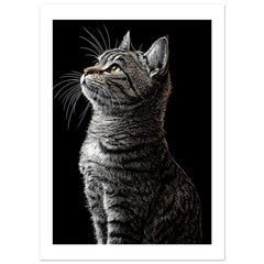 American Shorthair Cat Painted With Tone Pen