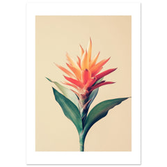 Bromeliad Bromeliaceae 1