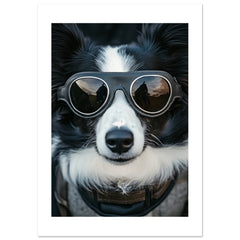 Border Collie Dog Wearing Pilot Sunglasses 4