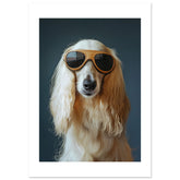 Afghan Hound Dog Wearing Pilot Sunglasses
