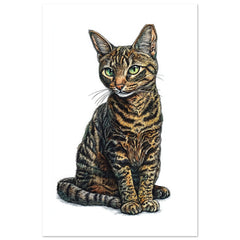 Bengal Cat Painted With Tone Pen
