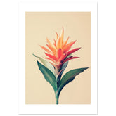Bromeliad Bromeliaceae 1