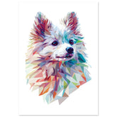 American Eskimo Dog Illustrated with Colorful Triangles