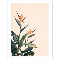 Bird of Paradise Strelitzia reginae 3