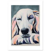 Afghan Hound Dog Relaxing Pastel Colored