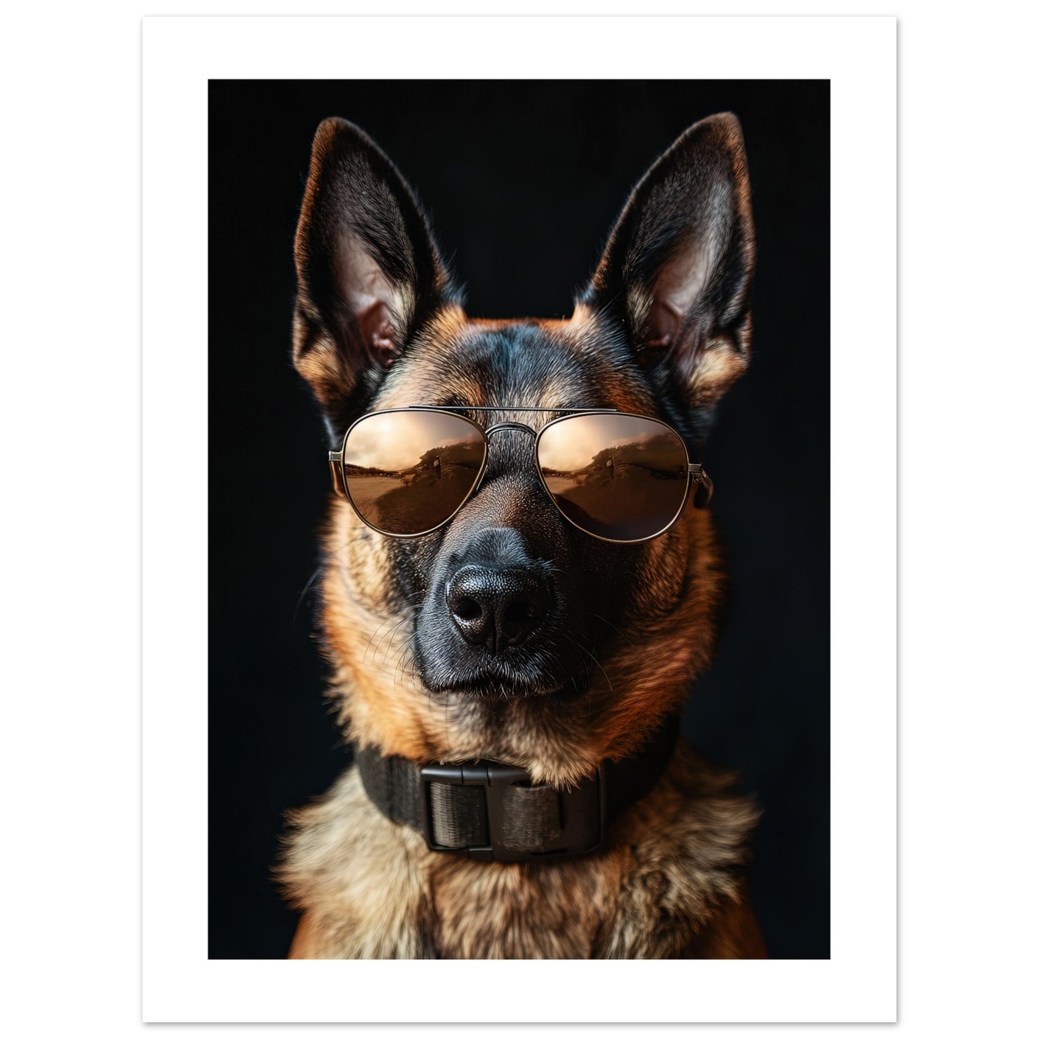 Belgian Malinois Dog Wearing Pilot Sunglasses 1