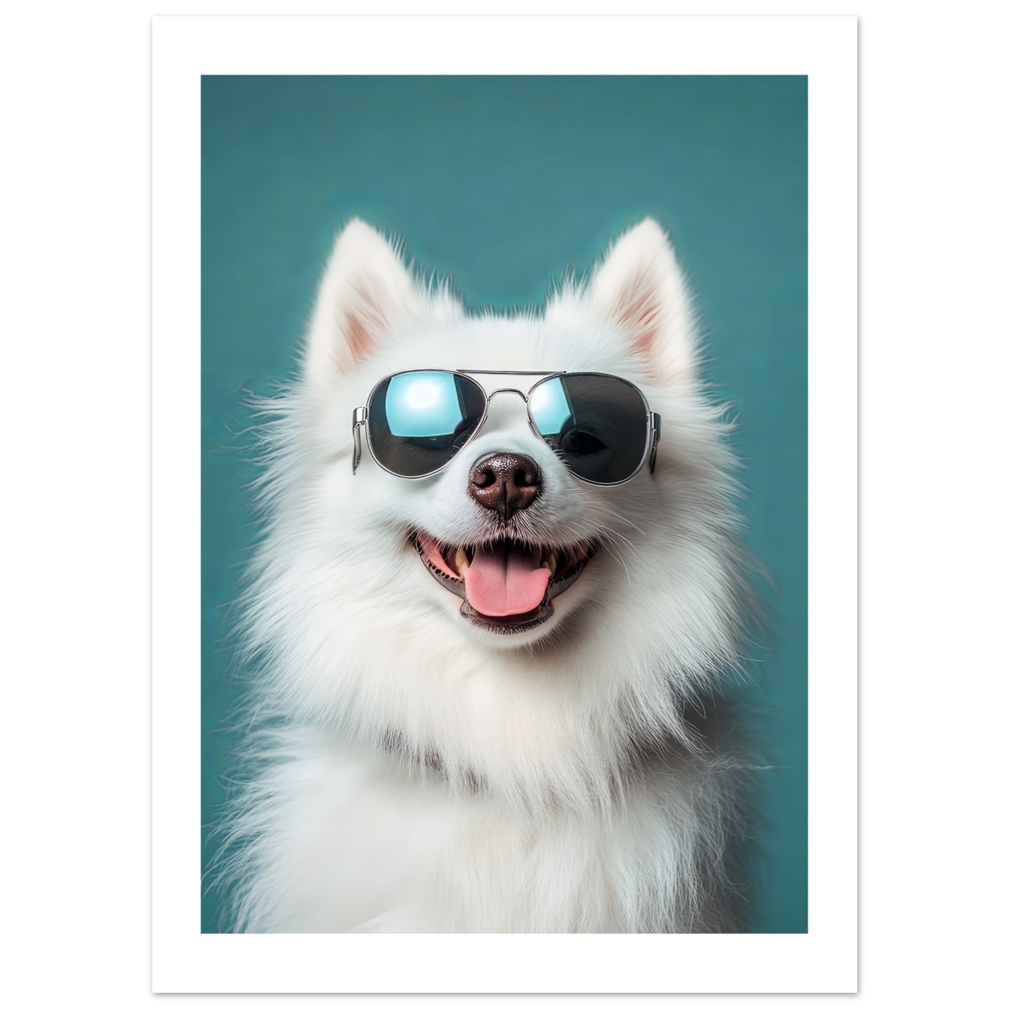 American Eskimo Dog Wearing Pilot Sunglasses