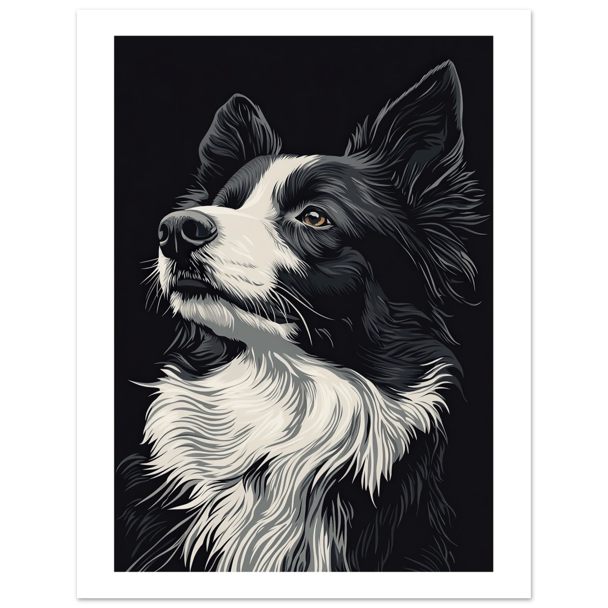 Border Collie Poster / Border Collie Art Work / Border Collie Print