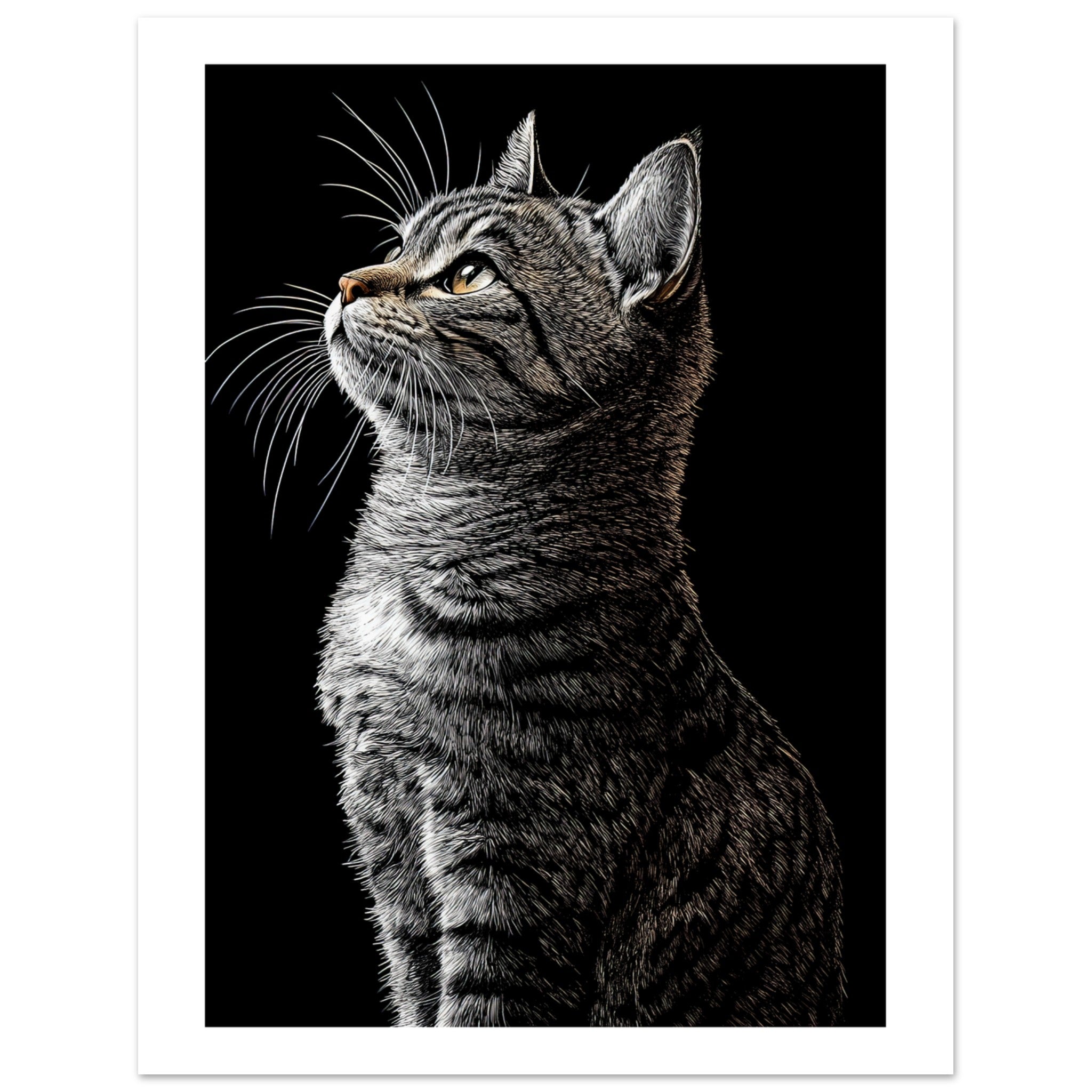 American Shorthair Cat Painted With Tone Pen