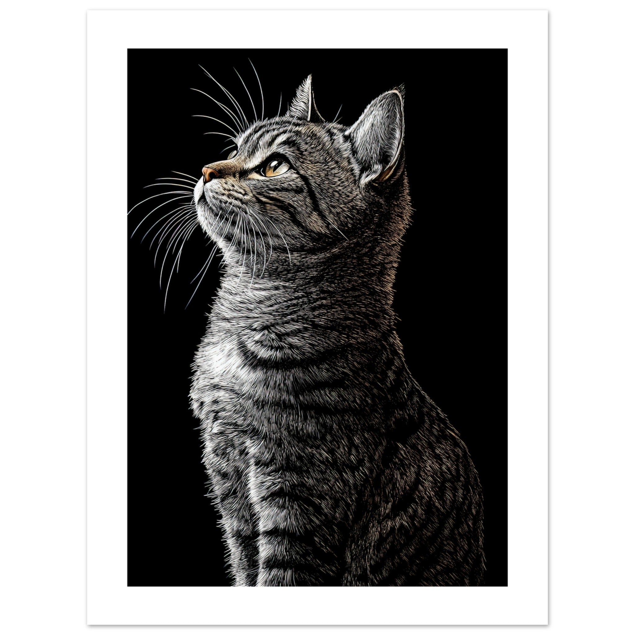 American Shorthair Cat Painted With Tone Pen