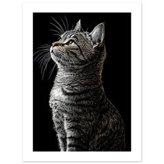 American Shorthair Cat Painted With Tone Pen