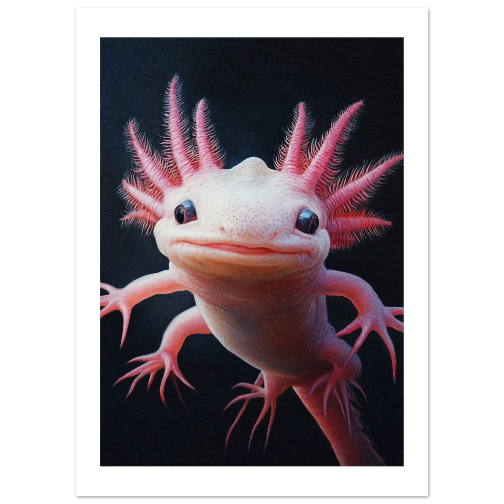 Axolotl portrait 1