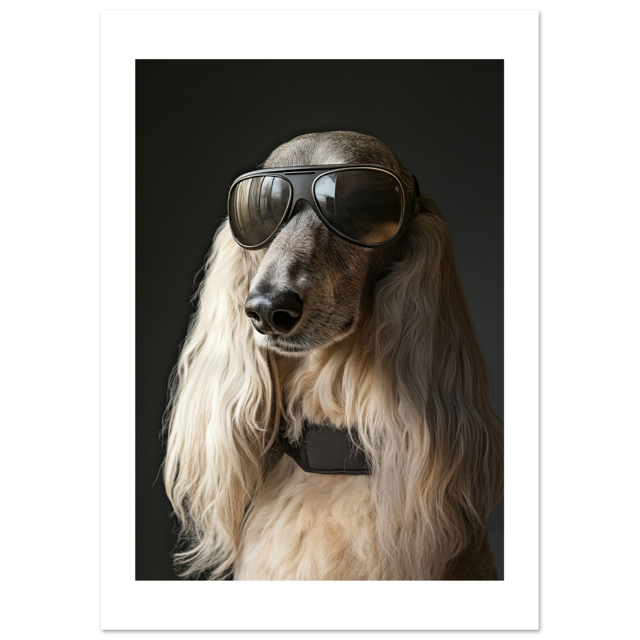 Afghan Hound Dog Wearing Pilot Sunglasses 1