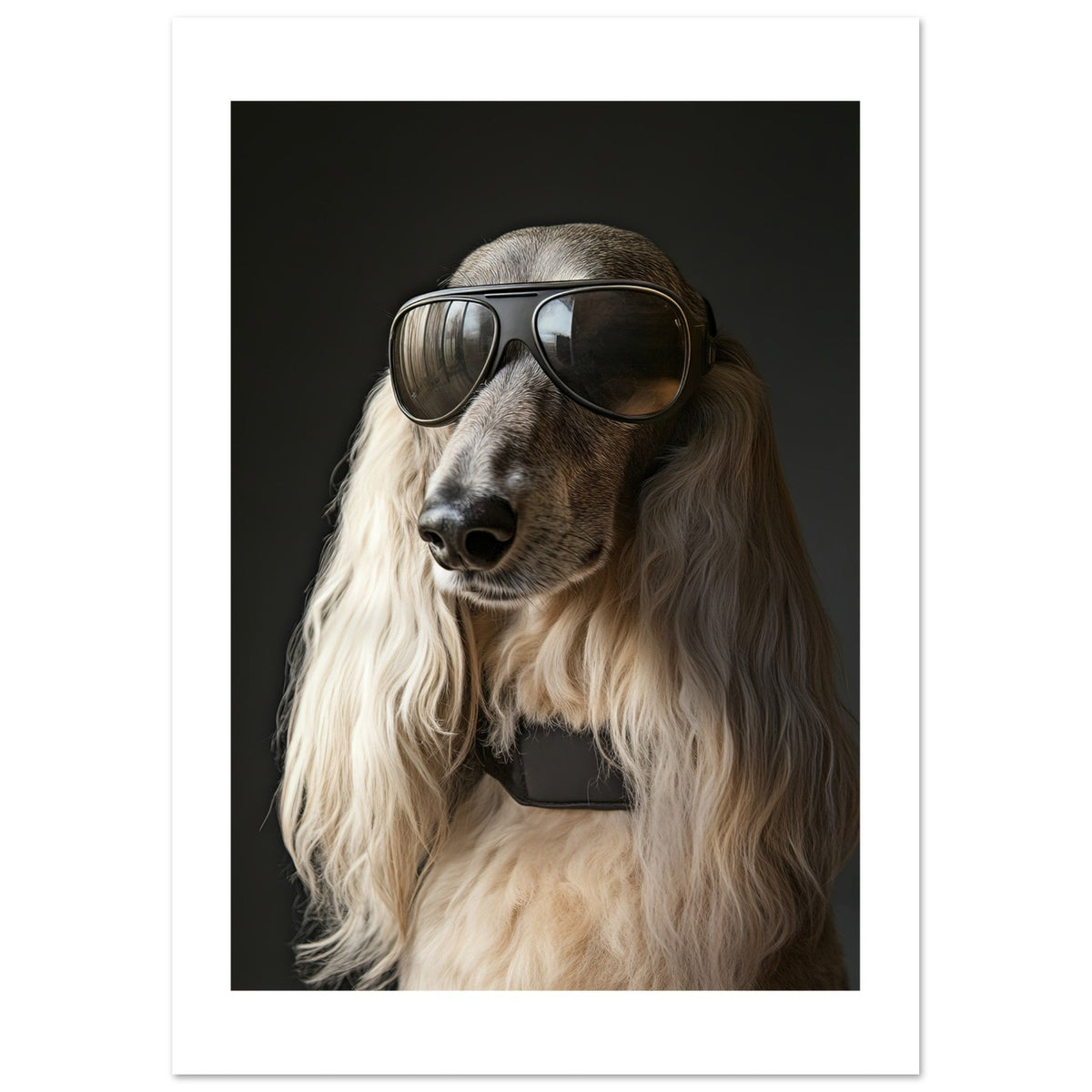 Afghan Hound Dog Wearing Pilot Sunglasses 1