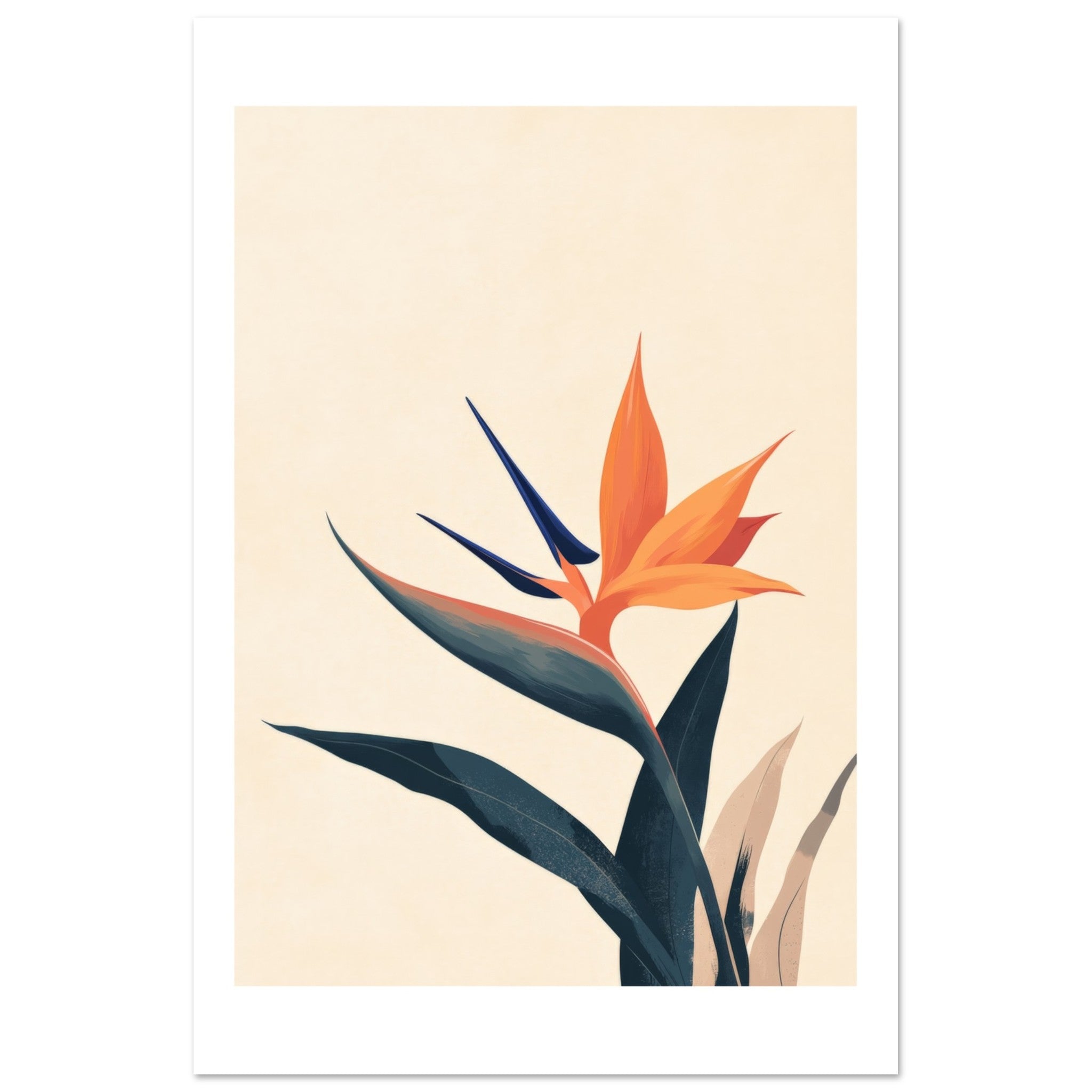 Bird of Paradise Strelitzia reginae 1