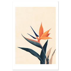 Bird of Paradise Strelitzia reginae 1