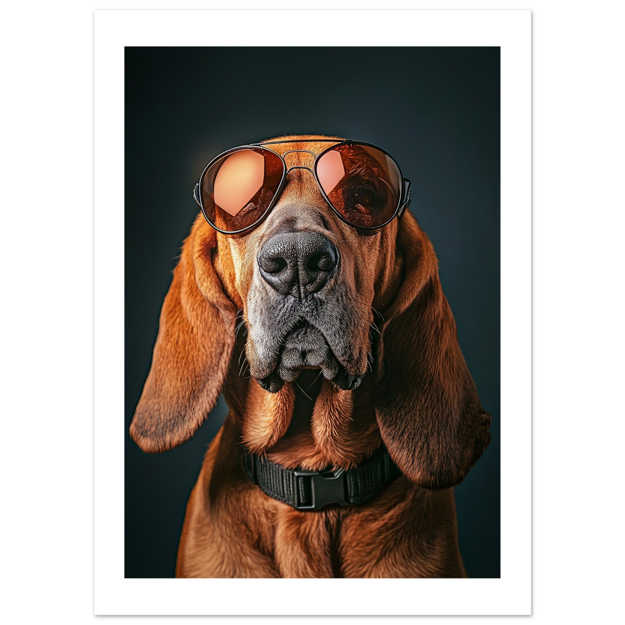 Bloodhound Dog Wearing Pilot Sunglasses