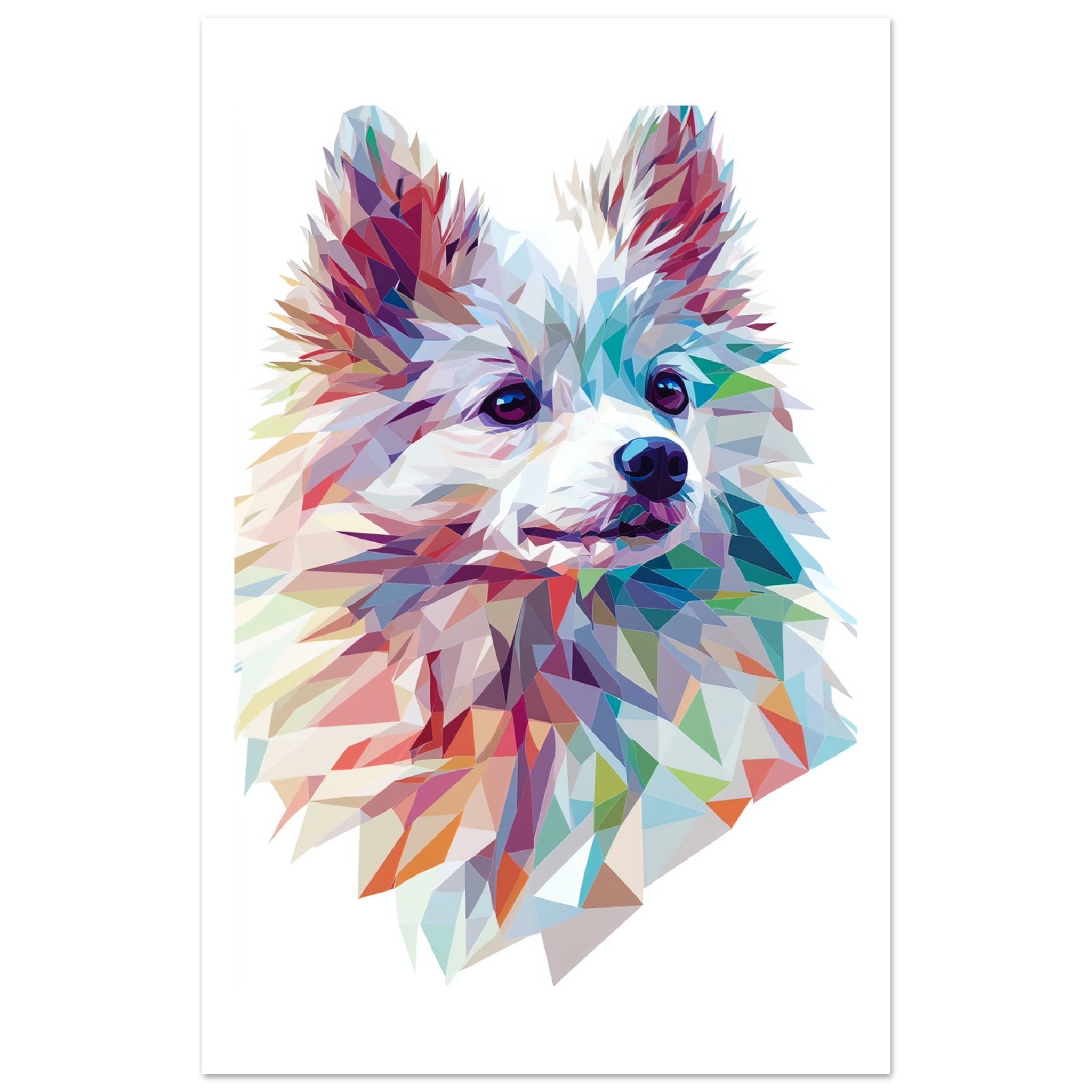 American Eskimo Dog Illustrated with Colorful Triangles