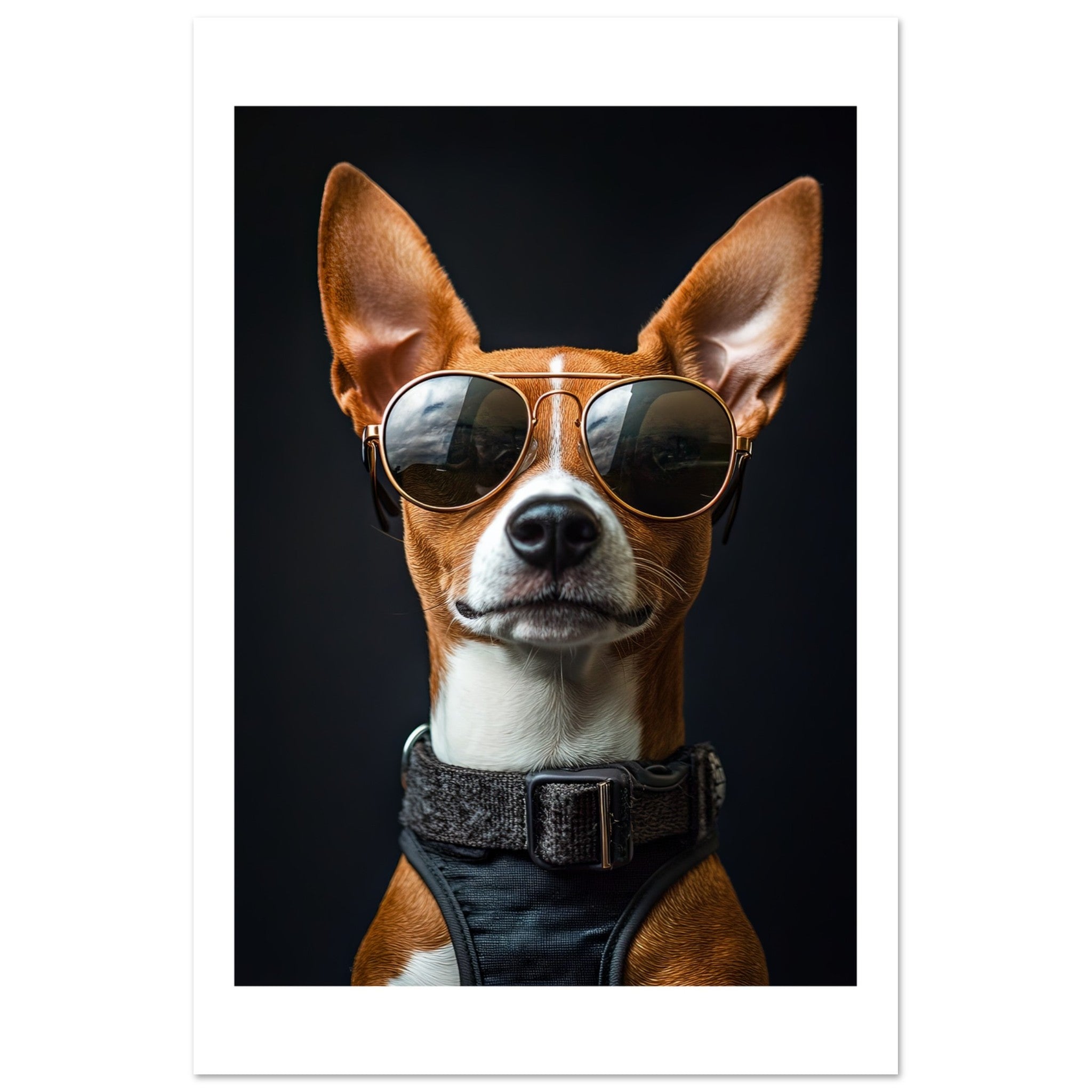 Basenji Dog Wearing Pilot Sunglasses