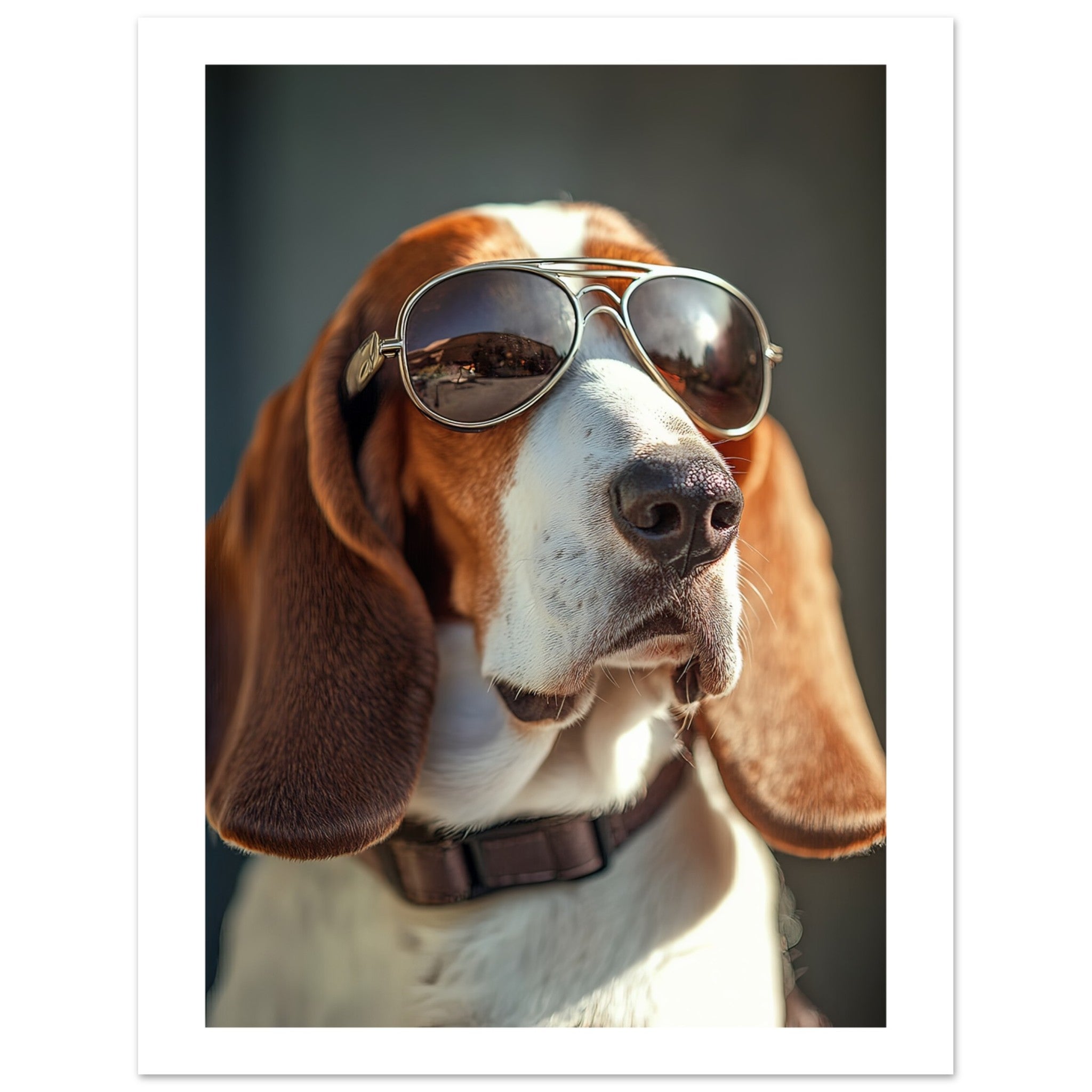 Basset Hound Dog Wearing Pilot Sunglasses 2