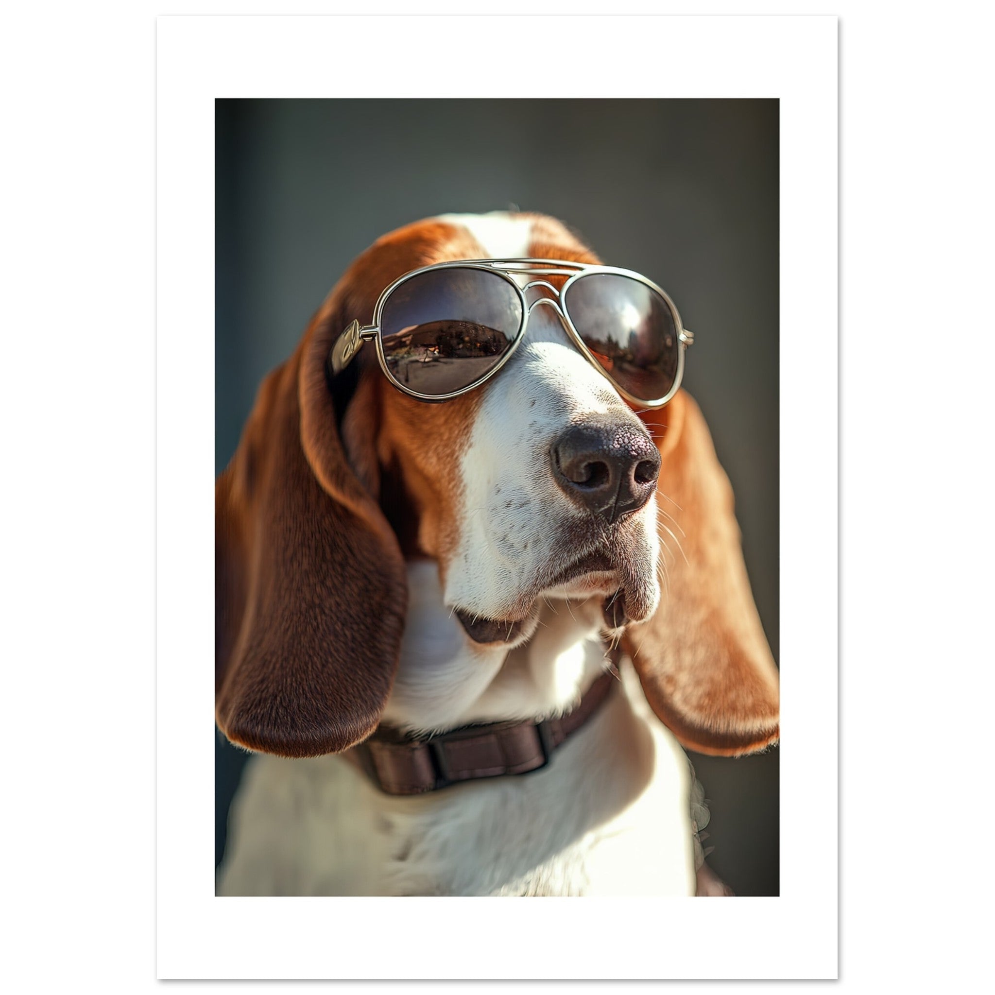 Basset Hound Dog Wearing Pilot Sunglasses 2