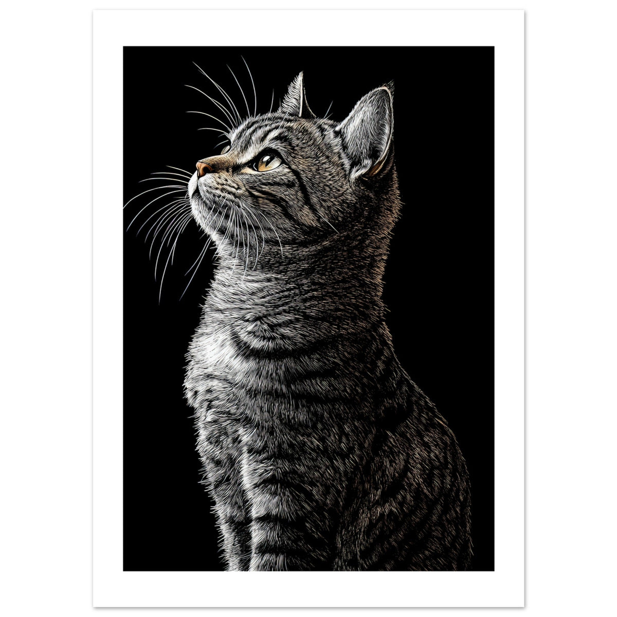 American Shorthair Cat Painted With Tone Pen