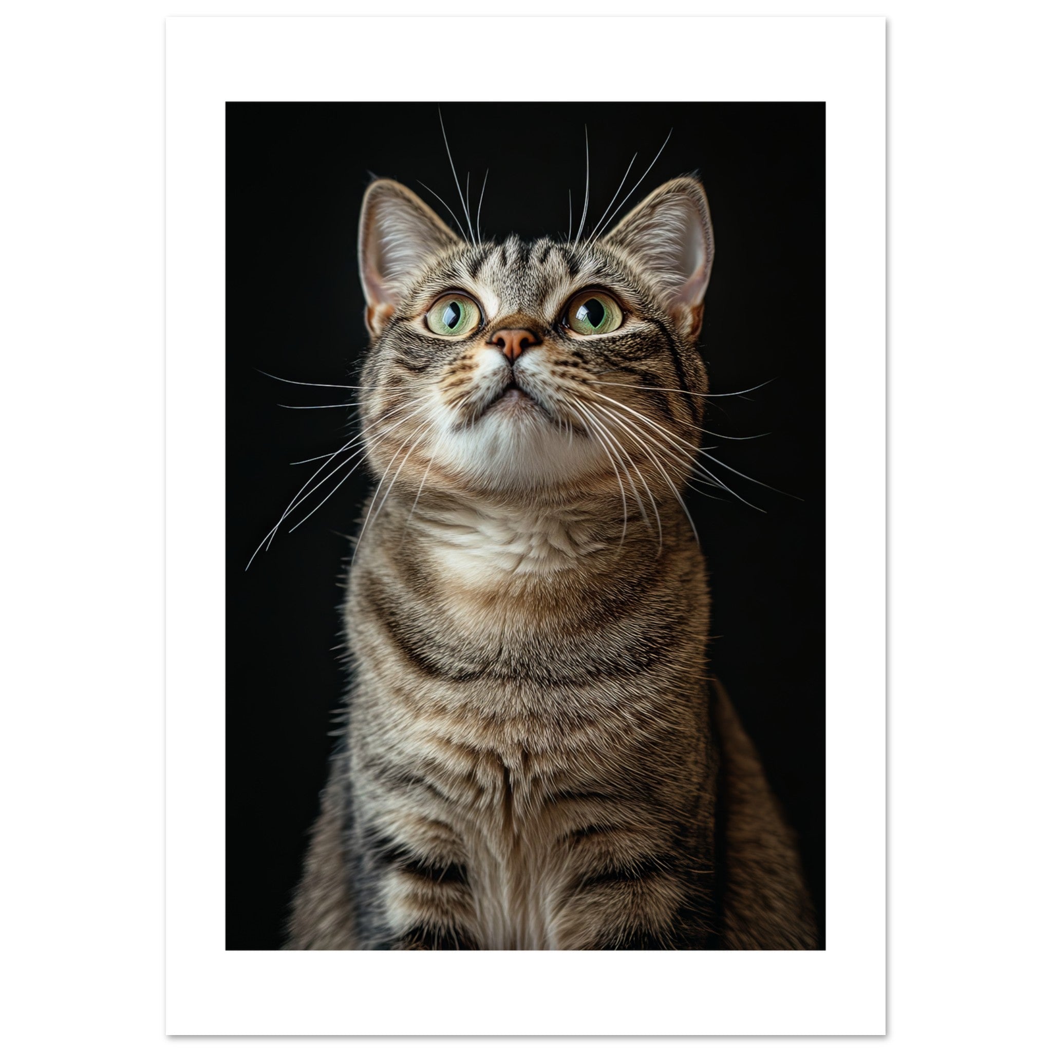 American Shorthair Cat Painted With Tone Pen 1