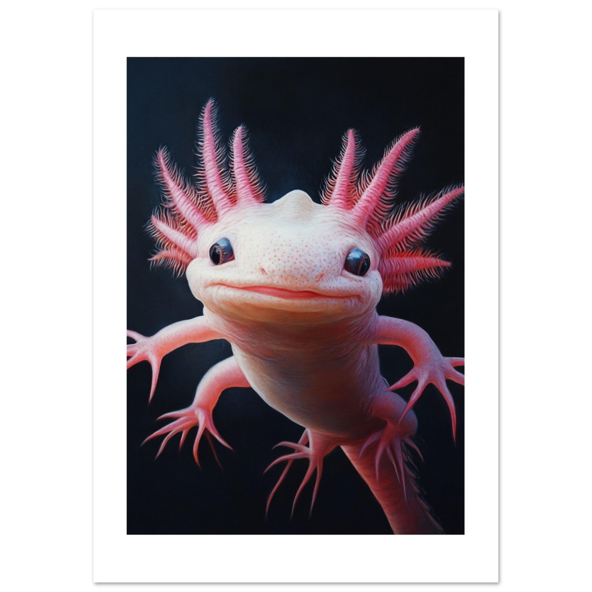 Axolotl portrait 1