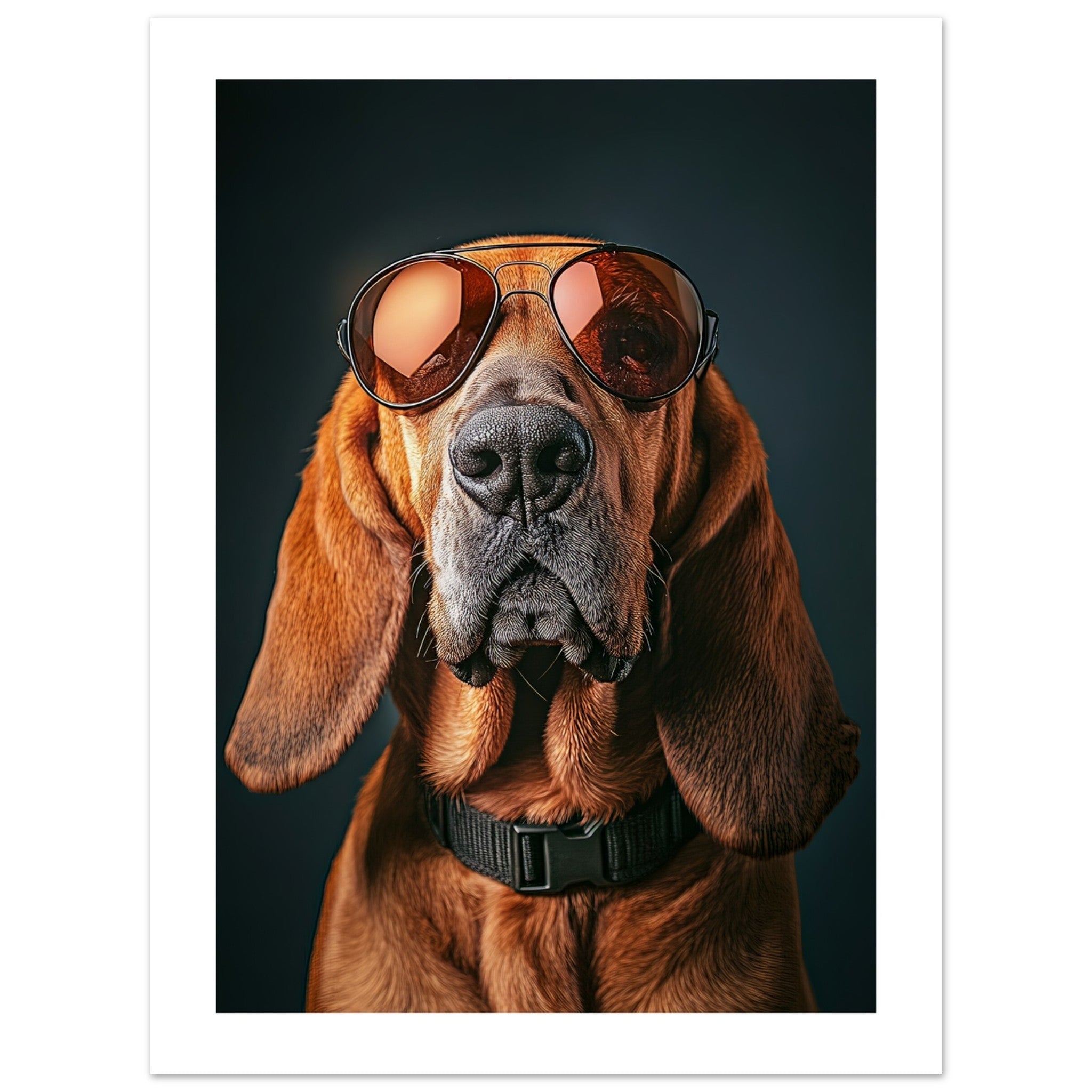 Bloodhound Dog Wearing Pilot Sunglasses