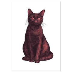 Bombay Cat Painted With Tone Pen 3