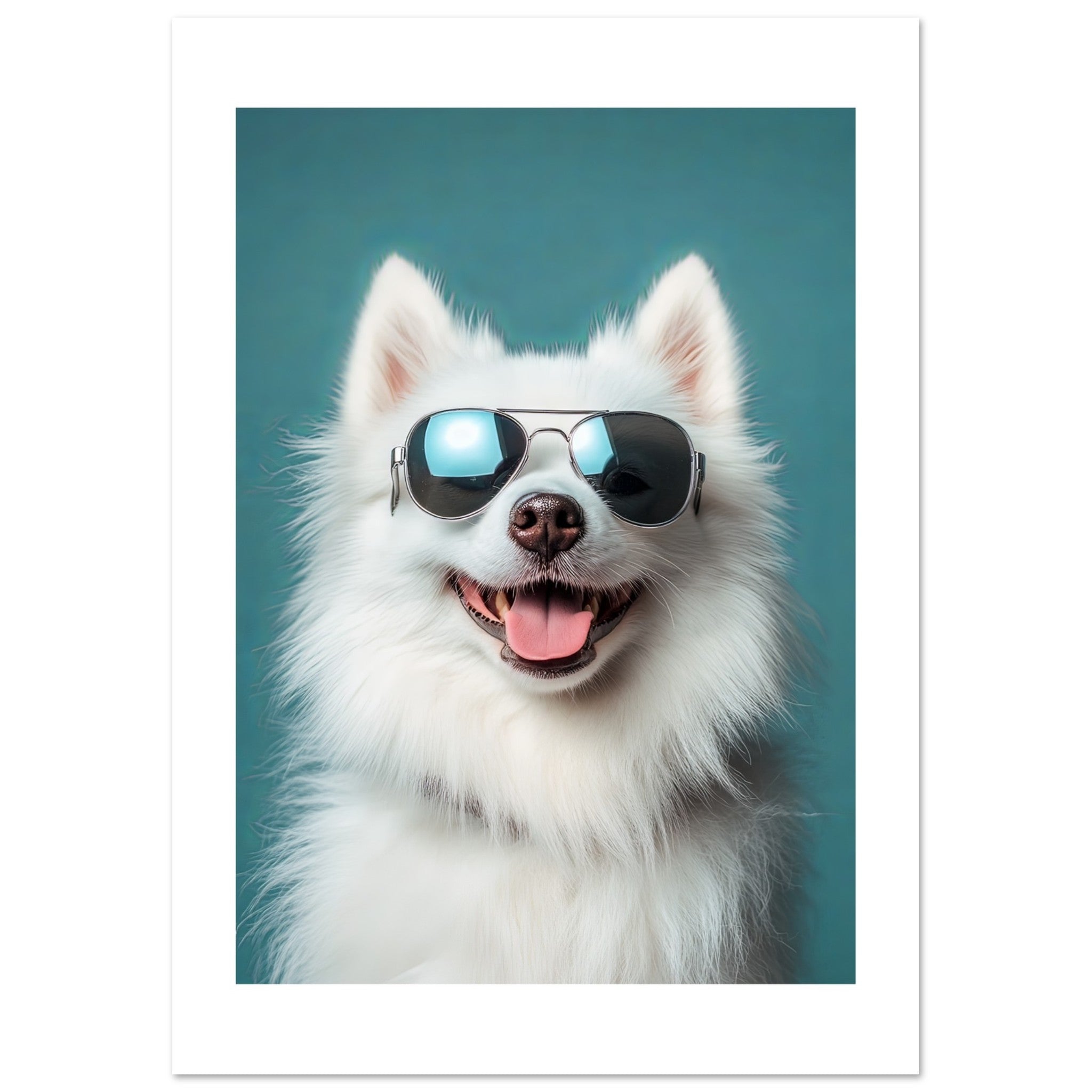 American Eskimo Dog Wearing Pilot Sunglasses