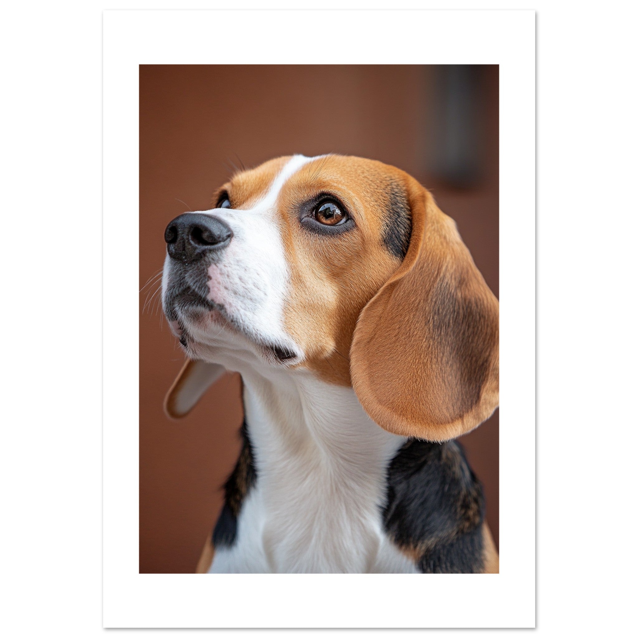 Beagle poster / Beagle Art Work / Beagle Print