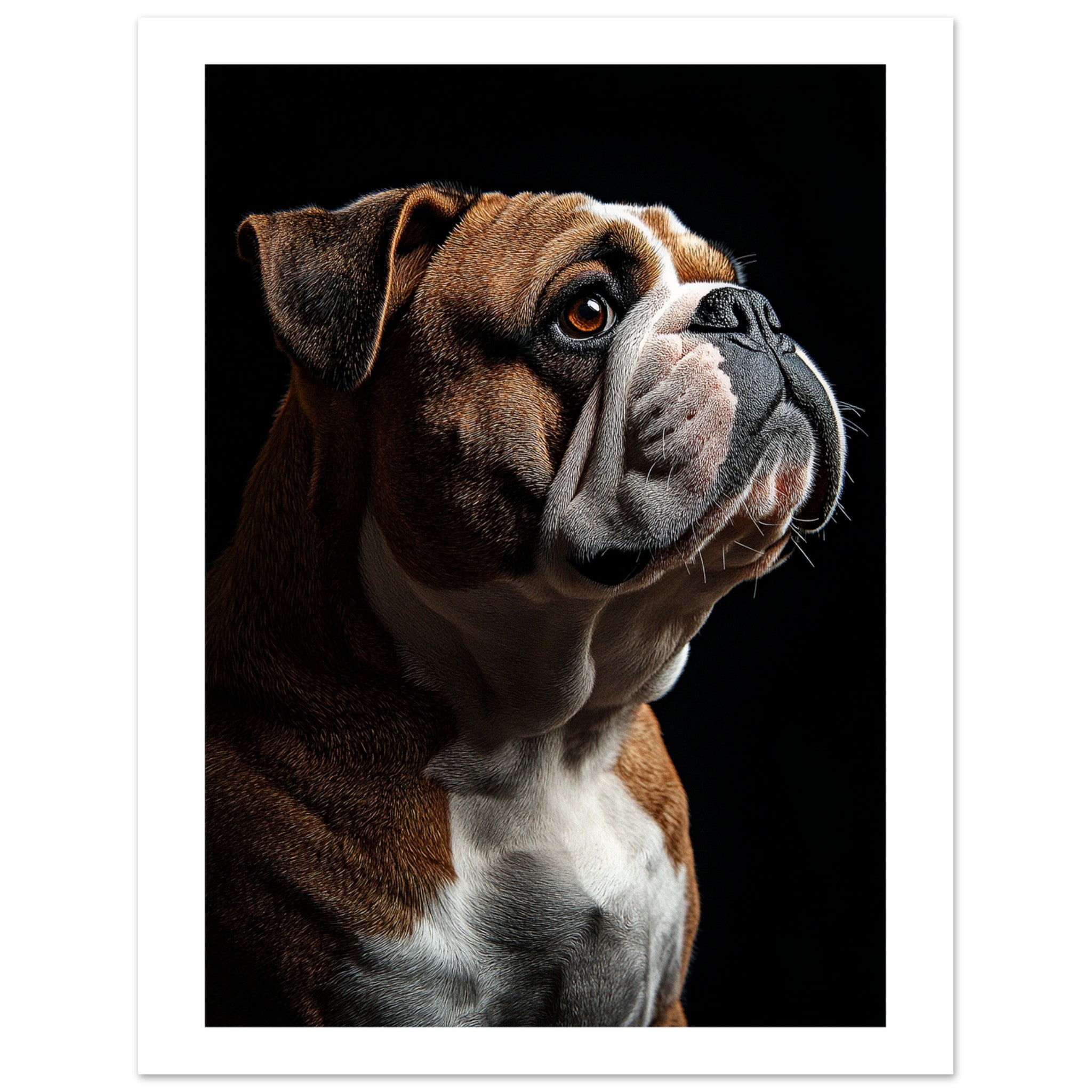 Bulldog Poster / Bulldog Art Work / Bulldog Print