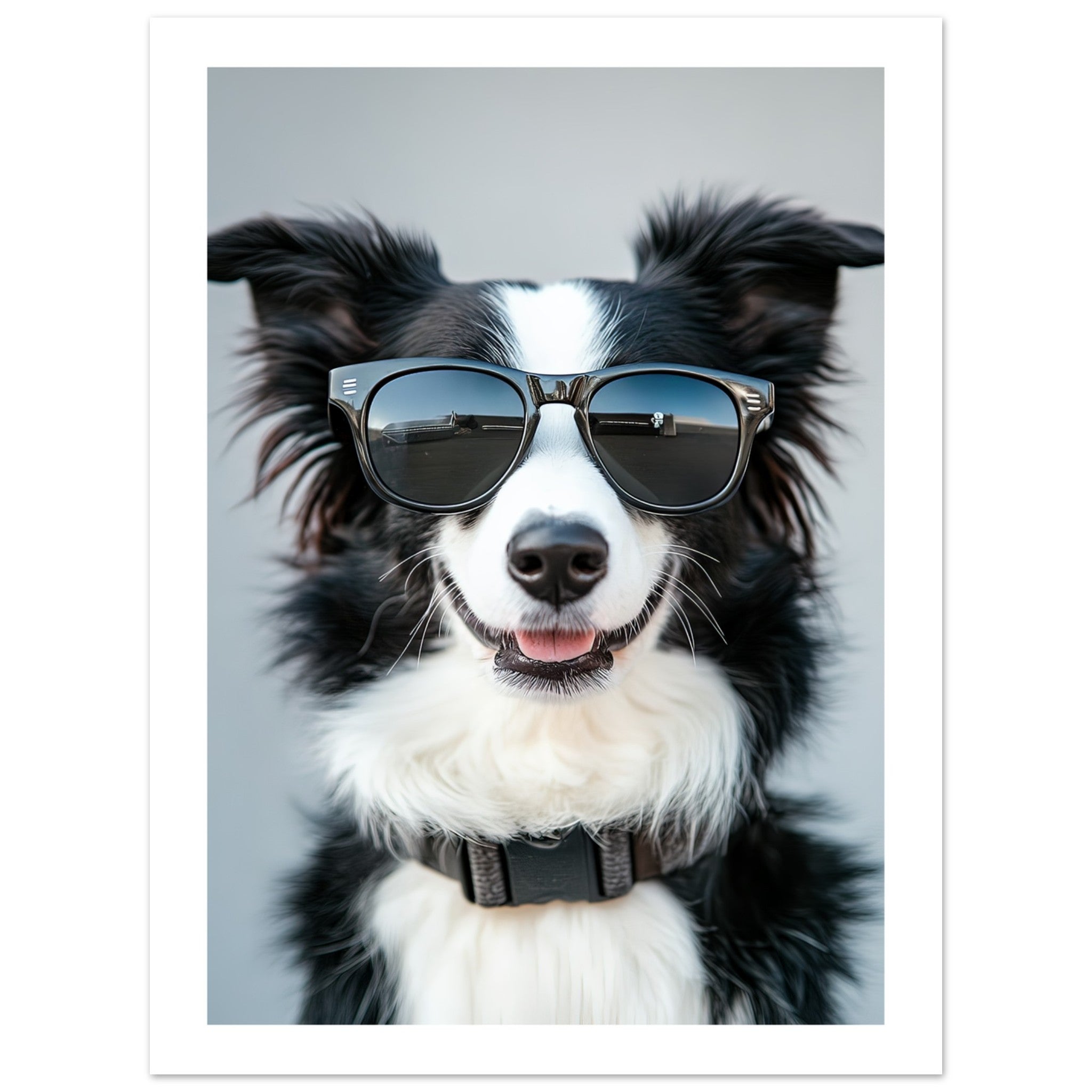 Border Collie Dog Wearing Pilot Sunglasses 1