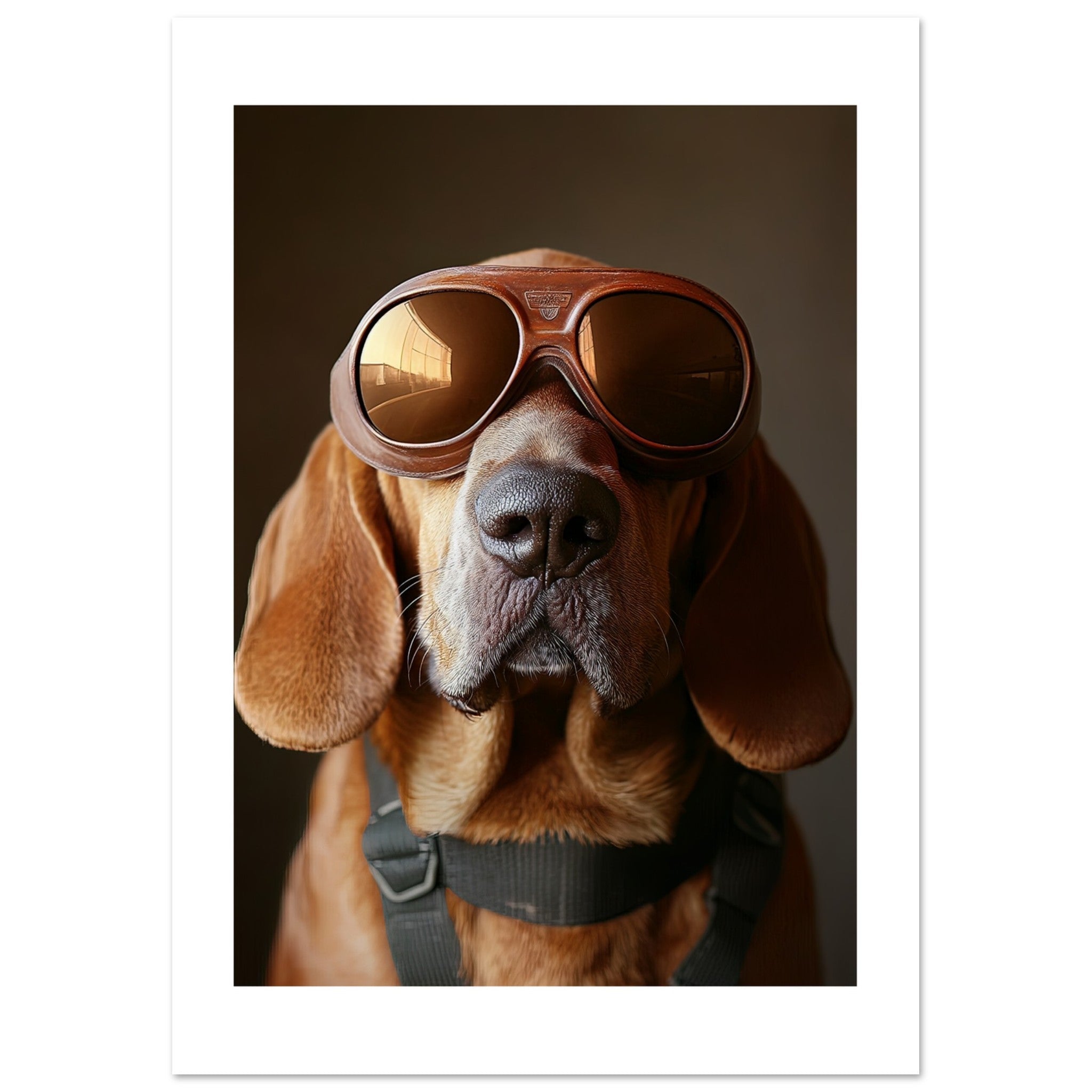 Bloodhound Dog Wearing Pilot Sunglasses 2