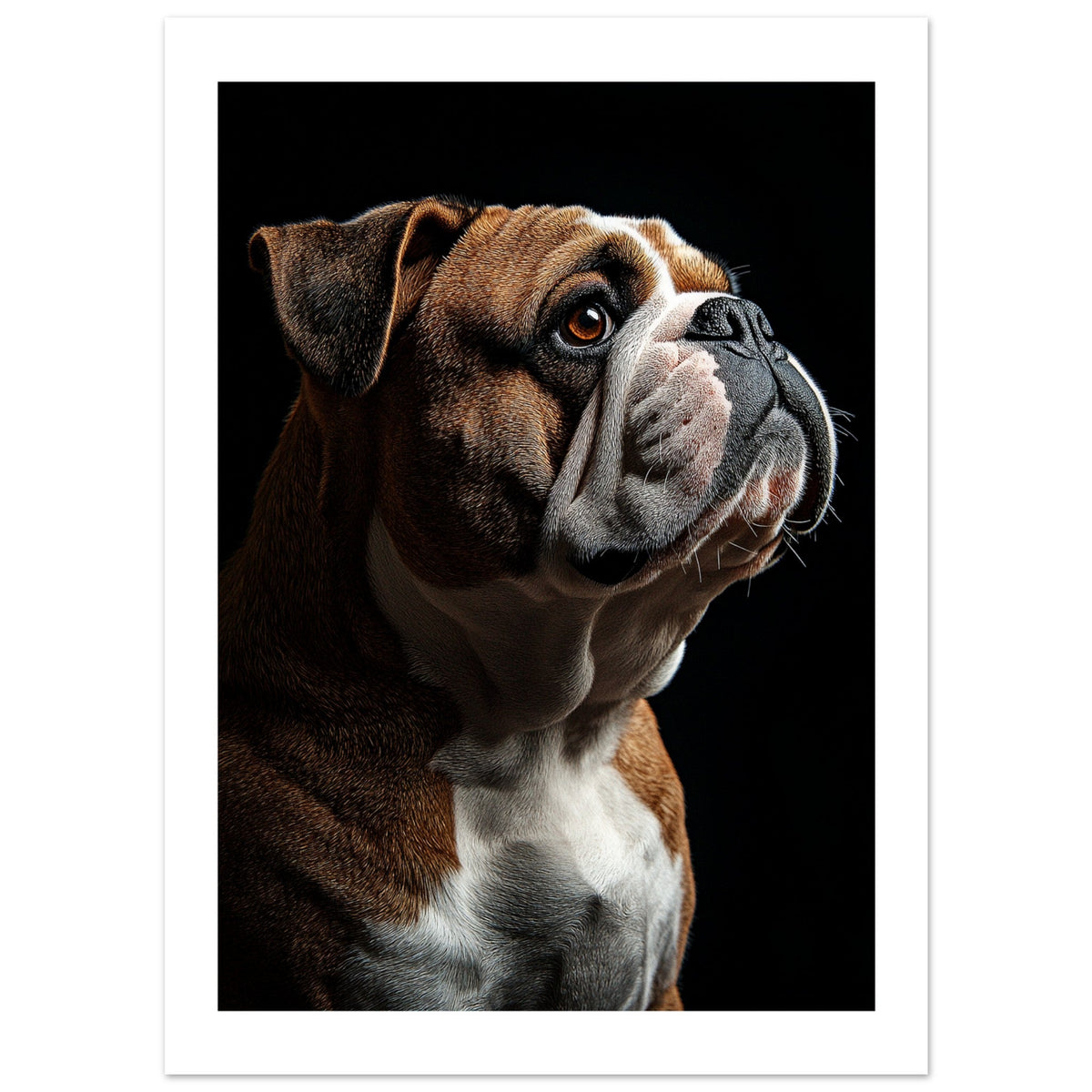Bulldog Poster / Bulldog Art Work / Bulldog Print