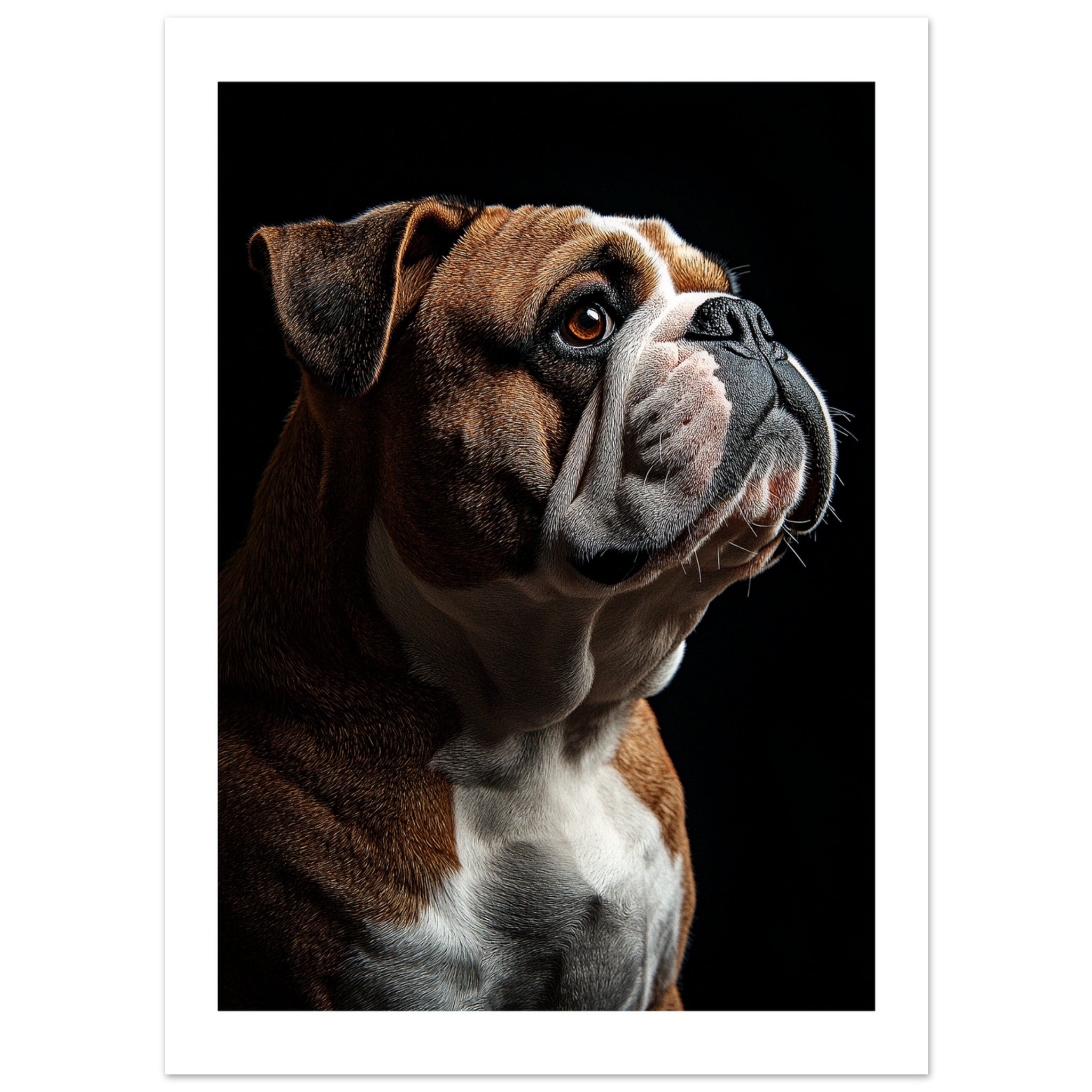 Bulldog Poster / Bulldog Art Work / Bulldog Print