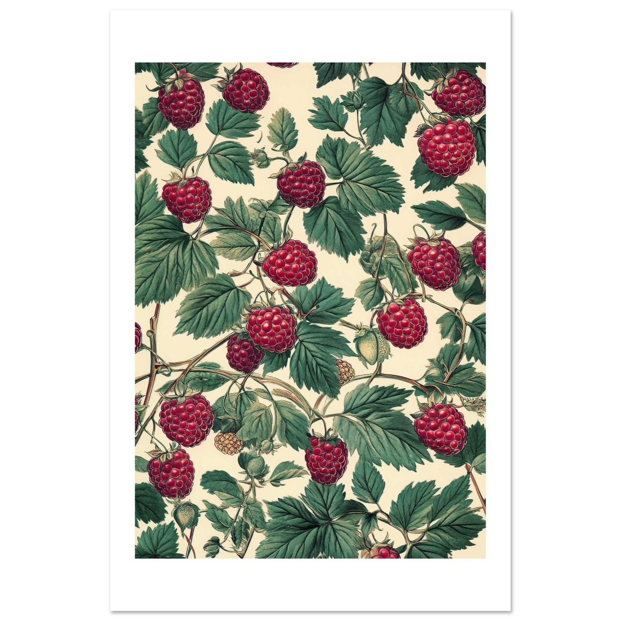 A pattern of Rasberries 1