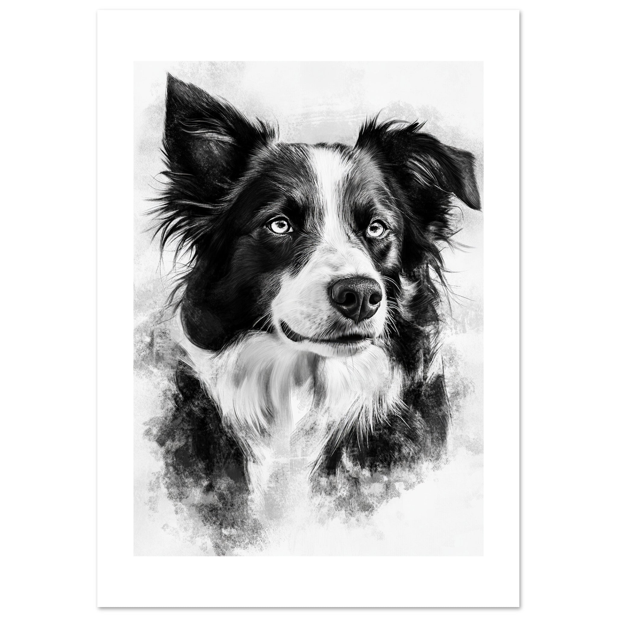 Border Collie Poster / Border Collie Art Work / Border Collie Print