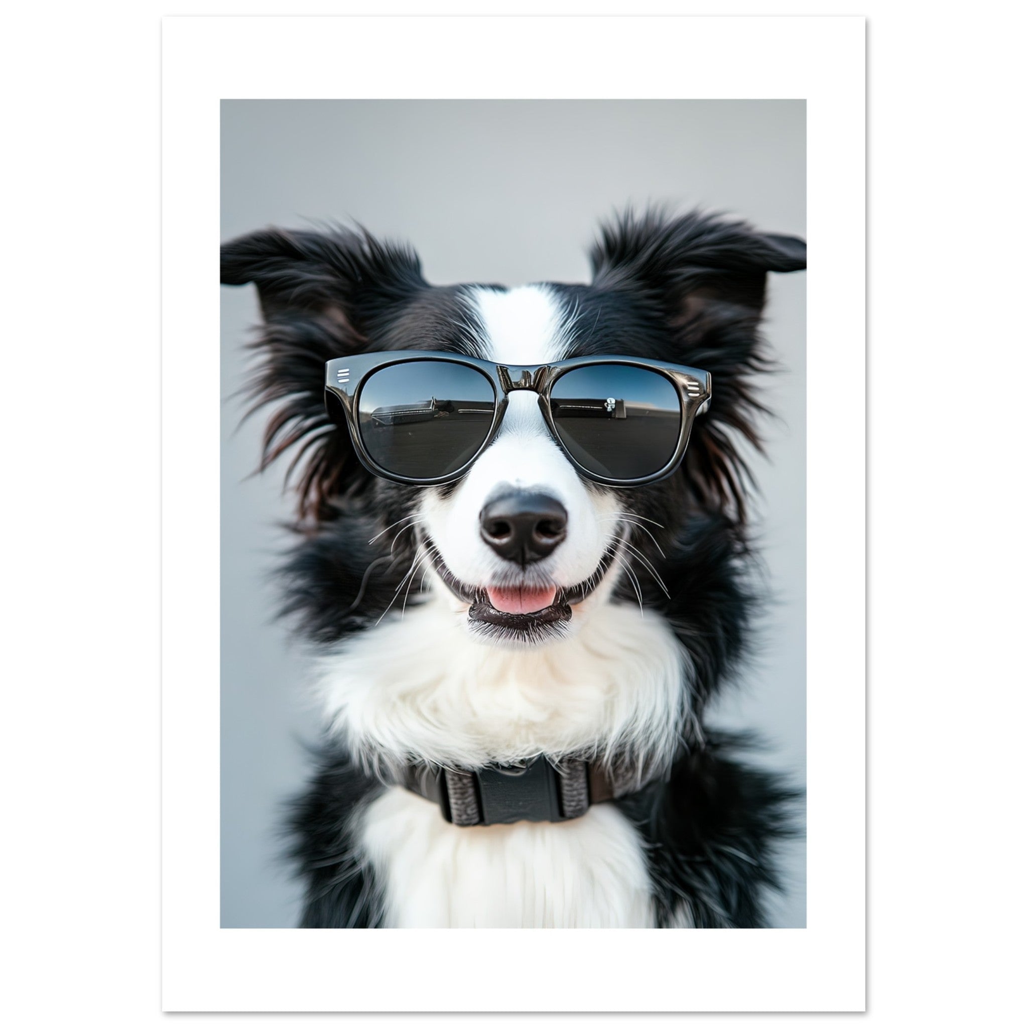 Border Collie Dog Wearing Pilot Sunglasses 1