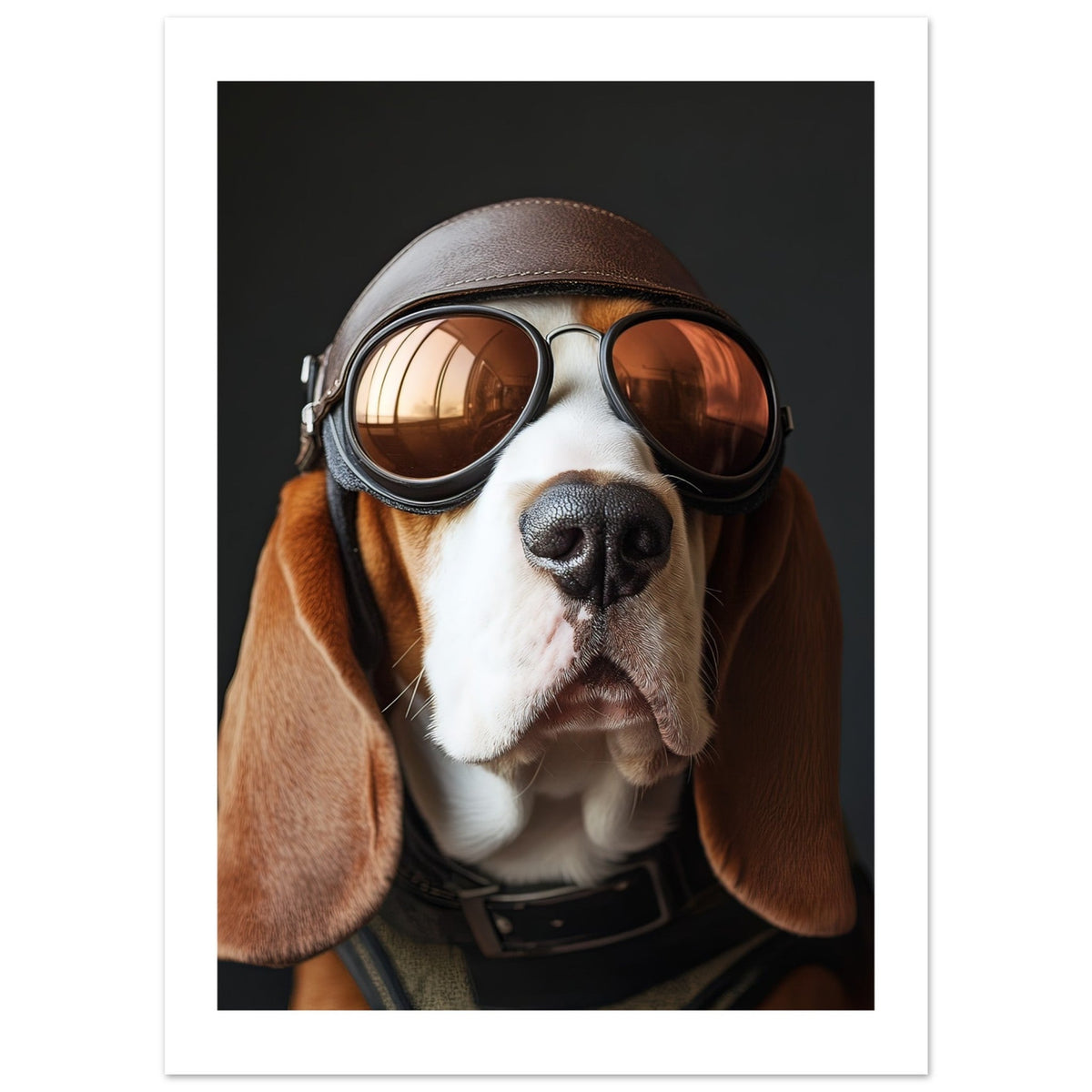 Basset Hound Dog Wearing Pilot Sunglasses 1