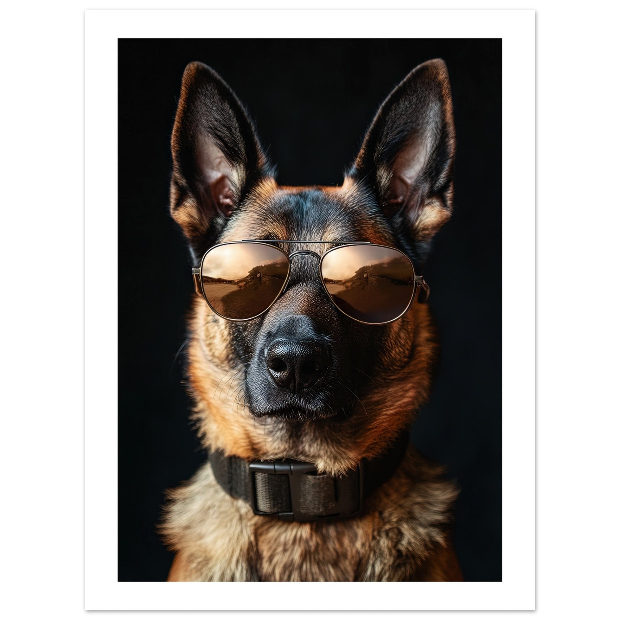 Belgian Malinois Dog Wearing Pilot Sunglasses 1