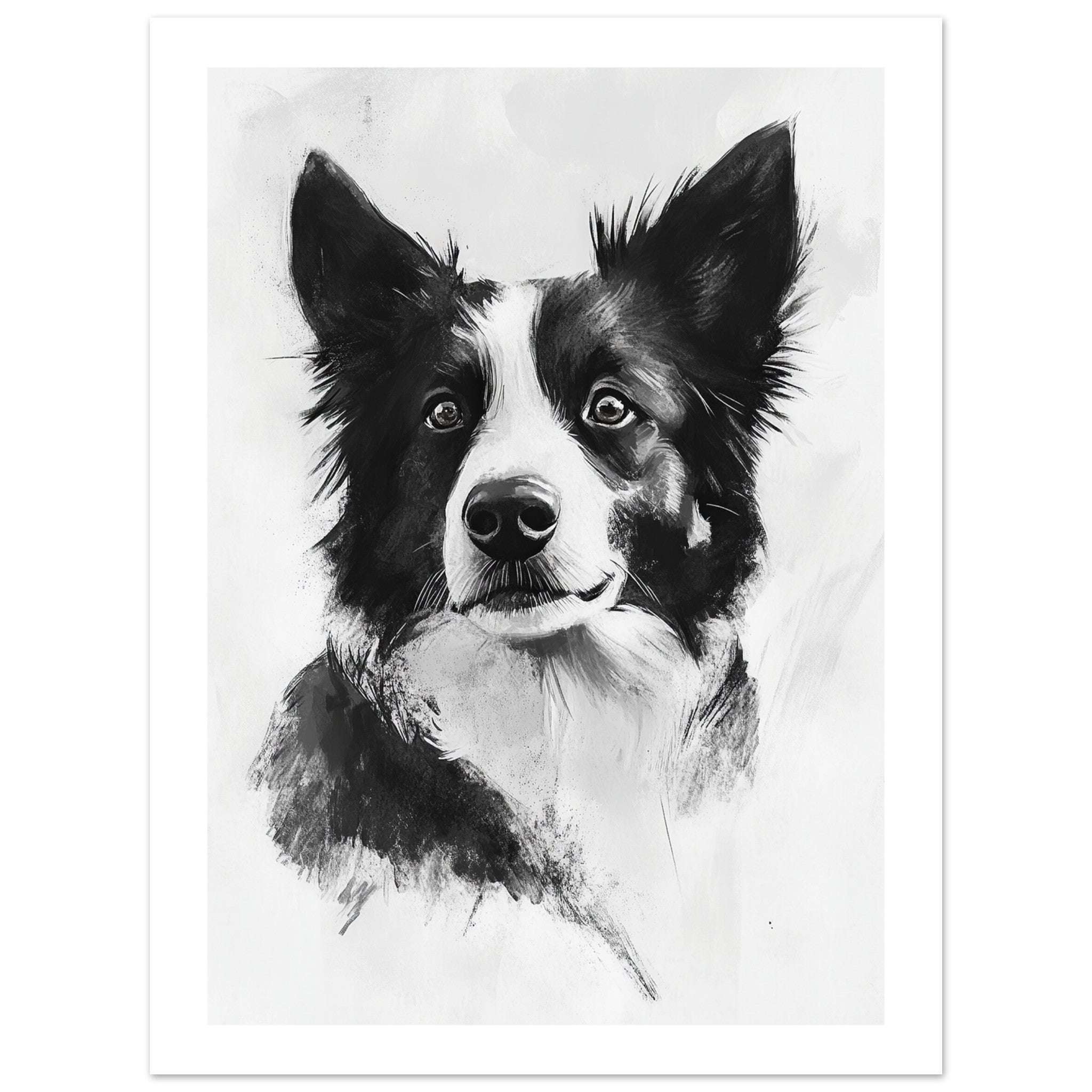 Border Collie Poster / Border Collie Art Work / Border Collie Print