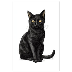 Bombay Cat Painted With Tone Pen