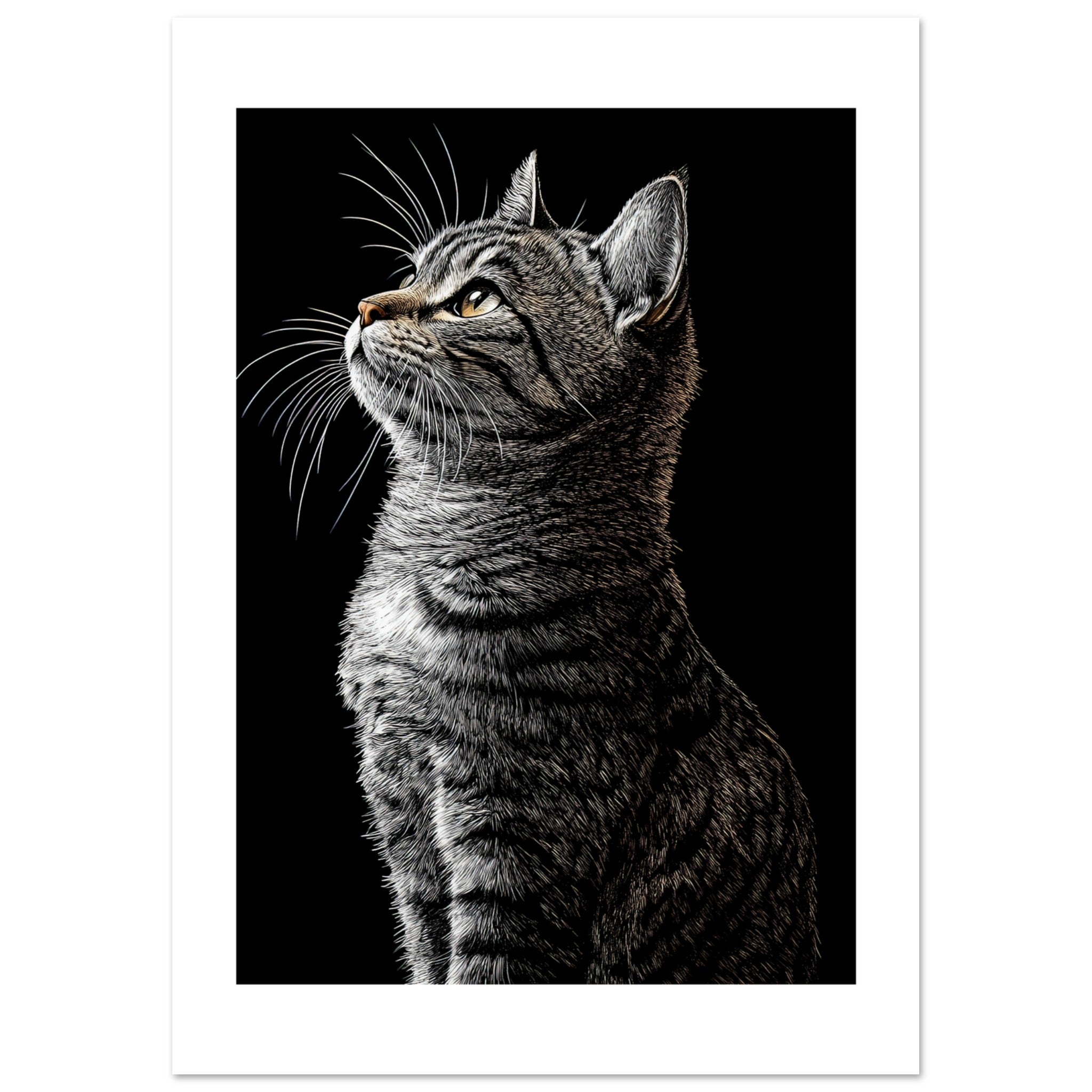 American Shorthair Cat Painted With Tone Pen