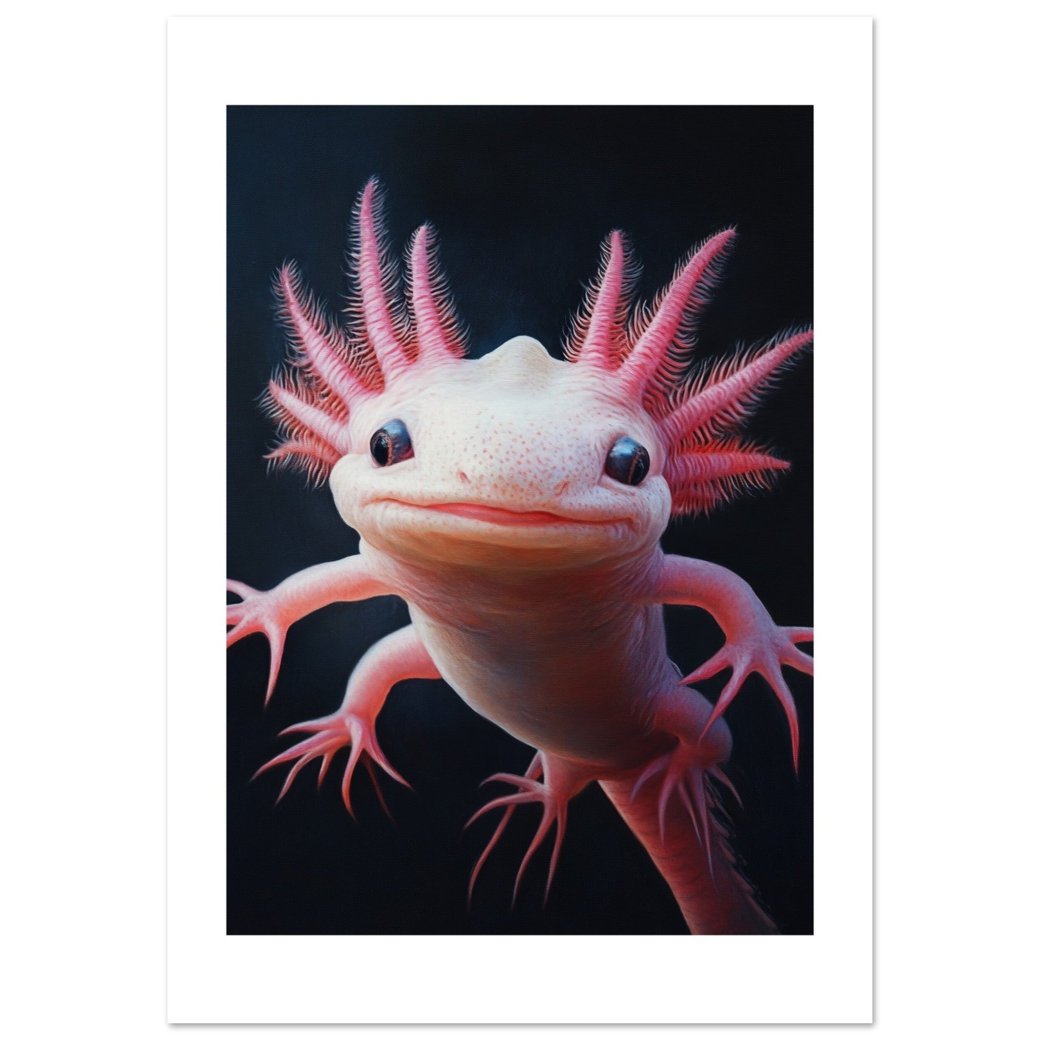 Axolotl portrait 1