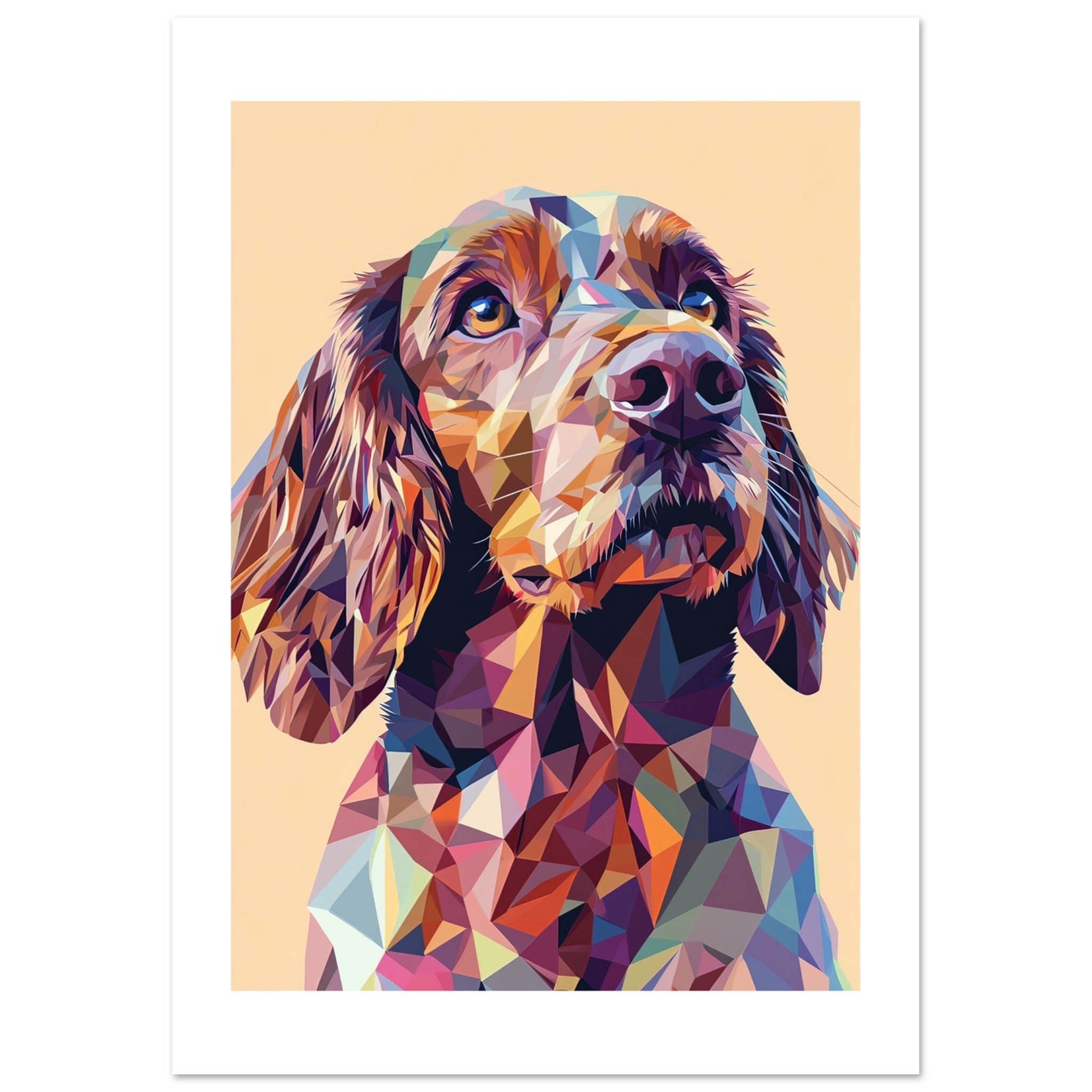 Boykin Spaniel Dog Illustrated with Colorful Triangles 2