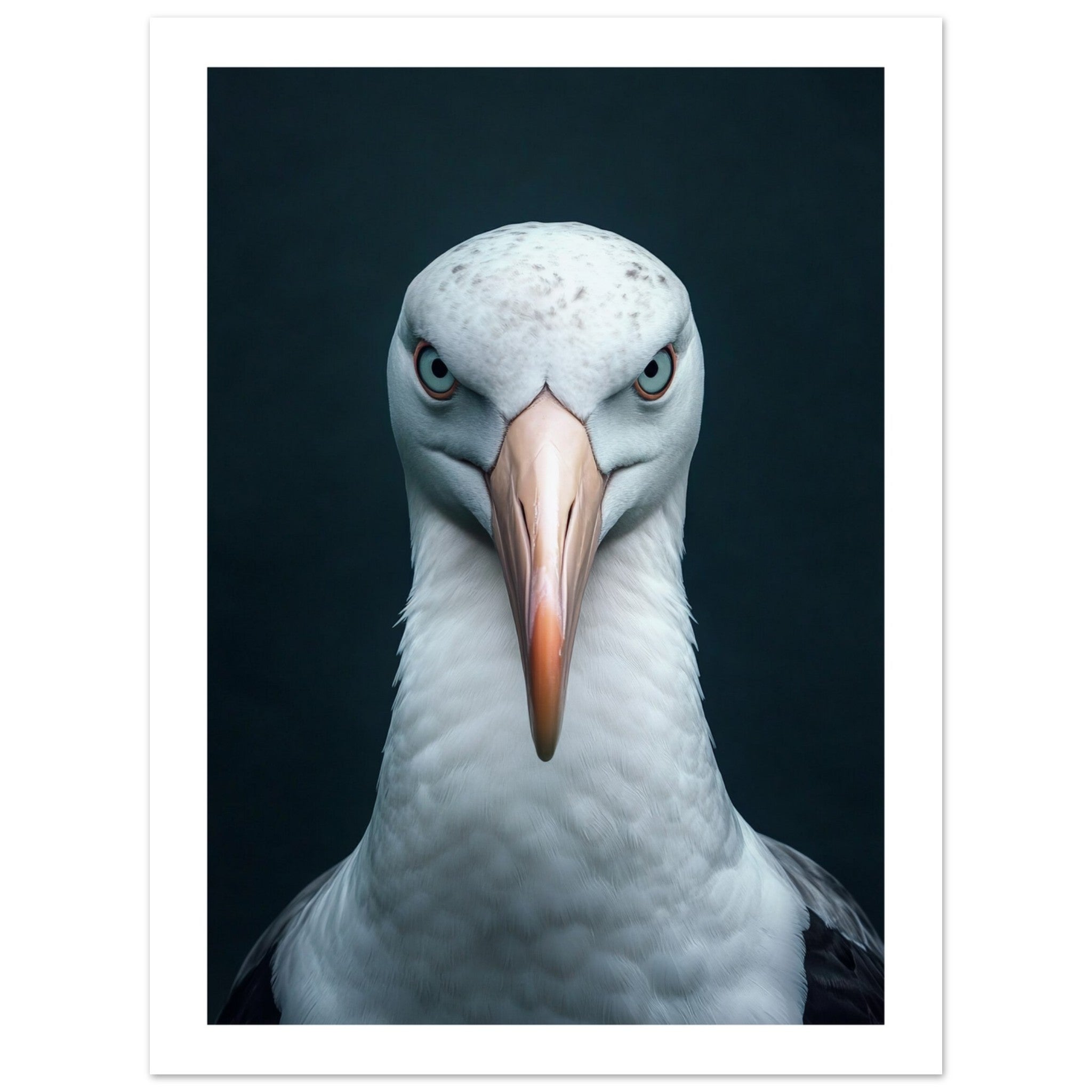 Albatross portrait